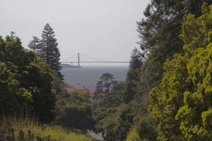 313-6438 Golden Gate From Berkeley